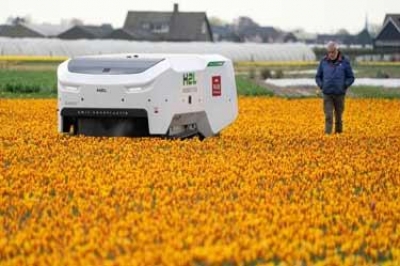 استفاده از ربات ۱۸۵ هزار یورویی هوش مصنوعی در پرورش لاله های سالم